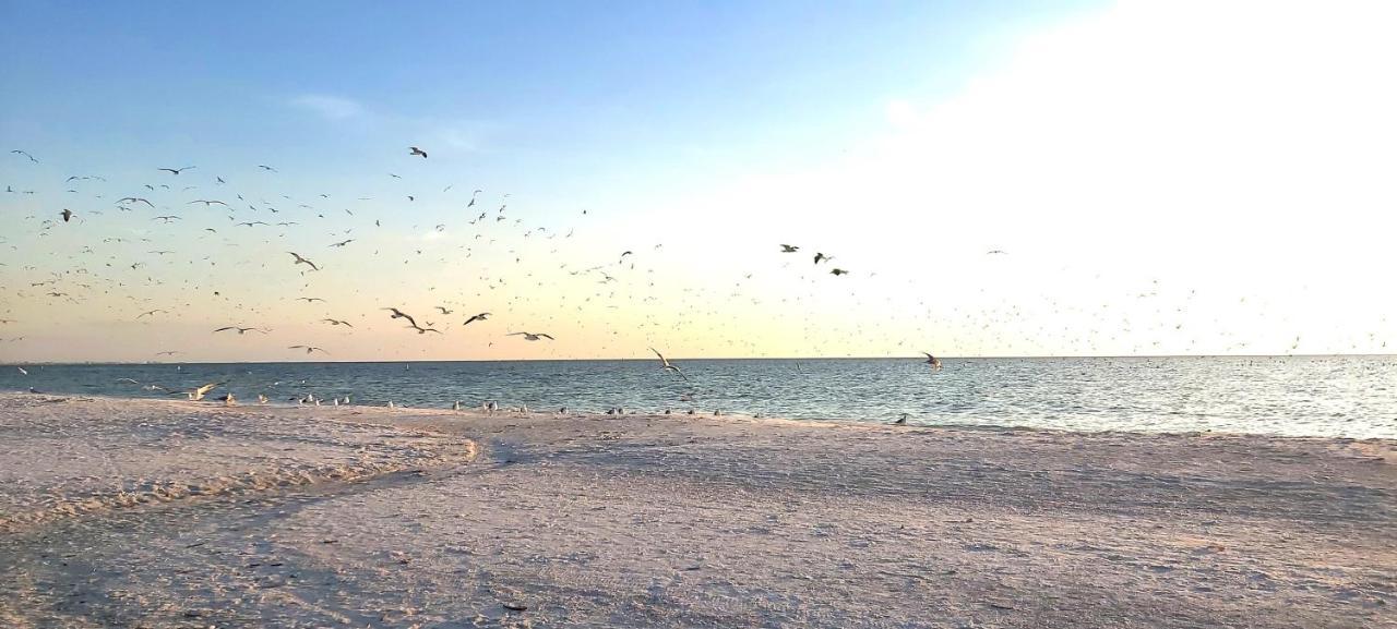 Sunset Vistas 407S Villa St. Pete Beach Luaran gambar