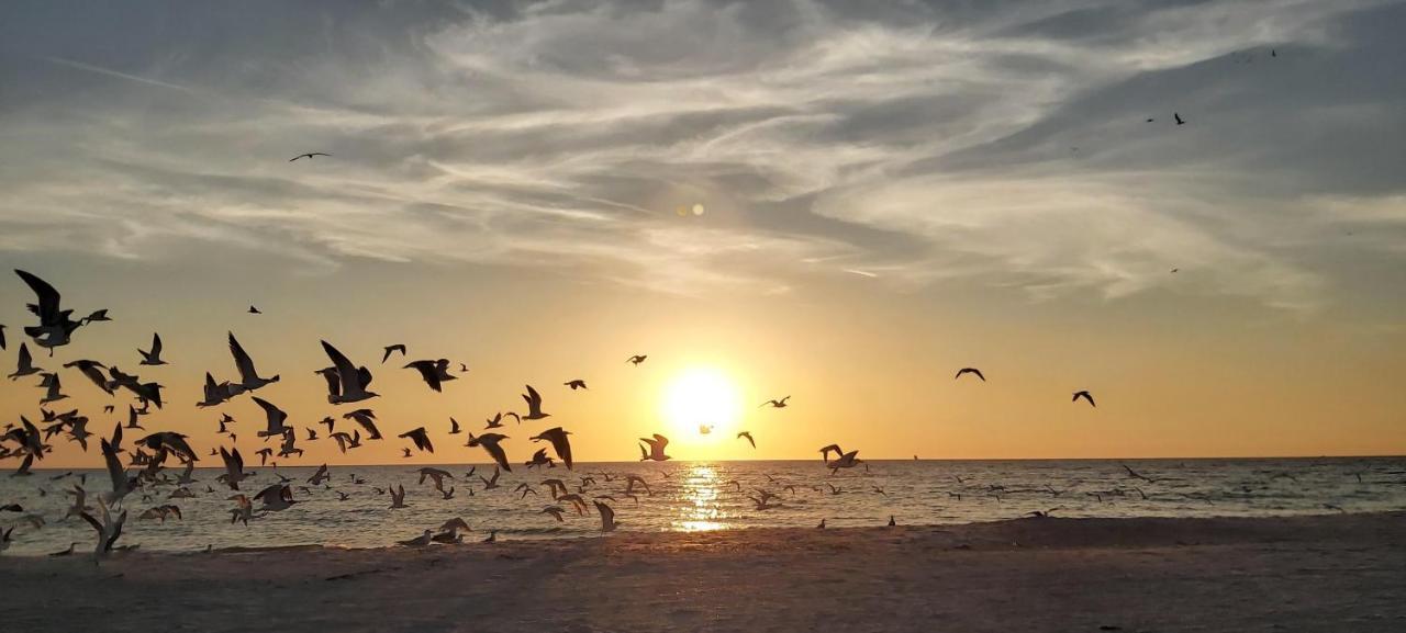 Sunset Vistas 407S Villa St. Pete Beach Luaran gambar